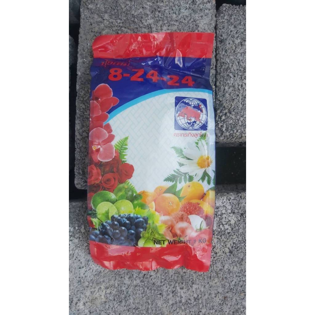 ปุ๋ยเคมีสูตร 8 24 24 ตรา กระทิงลูกโลก สูตร เร่งดอก เร่งผล ปุ๋ยเร่งดอก ปุ๋ยเร่งผล ปุ๋ยทำดอก L9T Littl