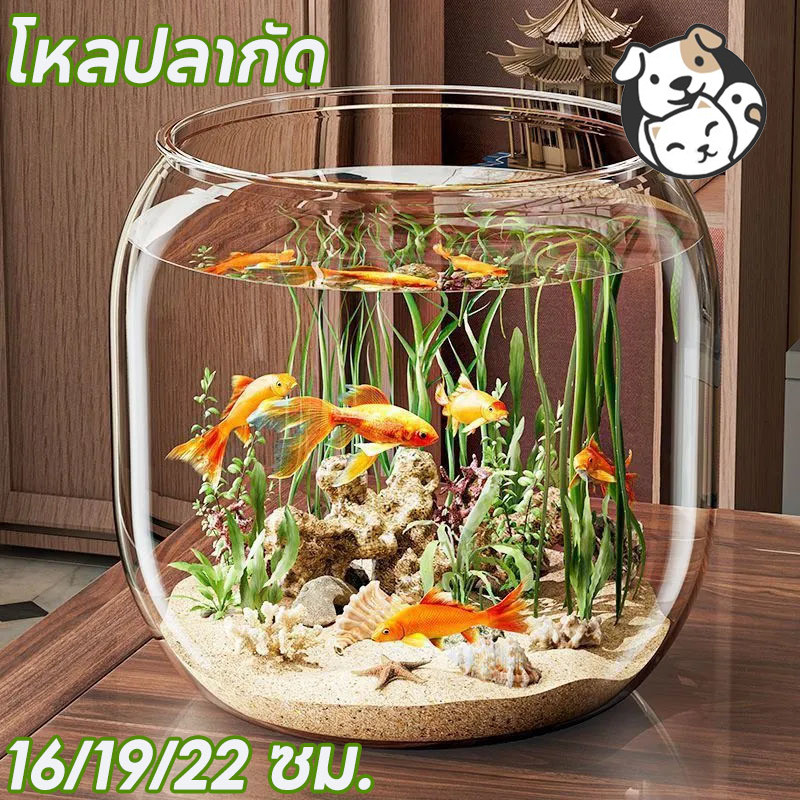 🐠โหลปลากัด 16/19/22CM ตู้ปลาทอง ตู้ปลาขนาดเล็ก ถังประดับสํานักงาน ใช้เลี้ยงปลาสวย แข็งแรง ตู้ปลา ตกไม่แตก