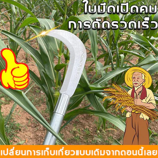 เคียวแมงกานีสแท้ เหล็ก sk5 ใบมีดคมแบบไม่รีล ตัดหญ้าตัดต้นไม้ อเนกประสงค์ 30cm/60cm/80cm เคียวเกีย หญ้า มีดพร้า มีดแมงกาน
