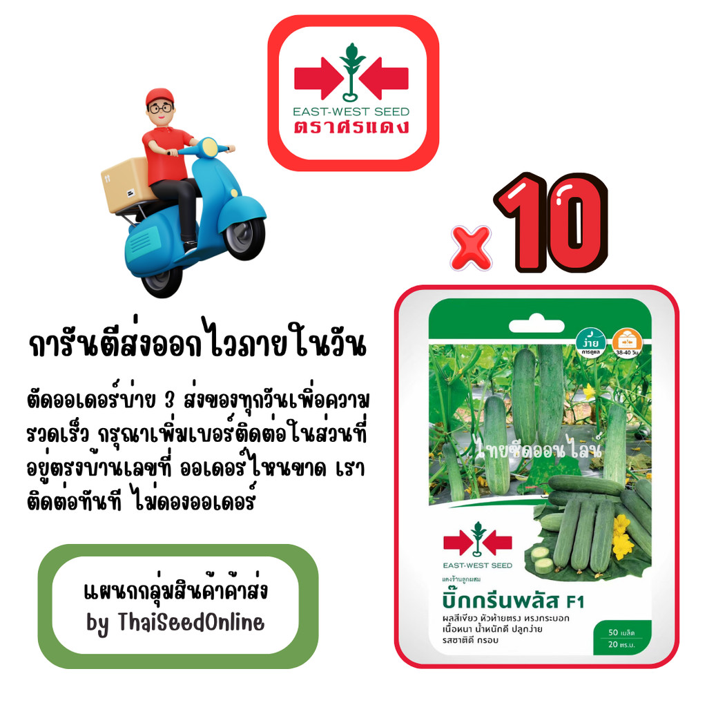 GG x 10 เมล็ดผักซองศรแดง บิ๊กกรีนพลัส แตงร้าน สินค้ายกแพ็ค
