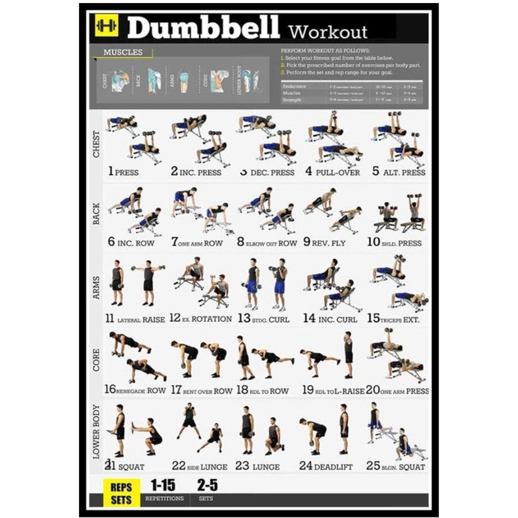 ดัมเบลออกกําลังกายการออกกําลังกาย Body Strength Pose Intructional โปสเตอร์ศิลปะผ้าใบ Home Room Wall พิมพ์ตกแต่ง -x ชิ้น 0214bt