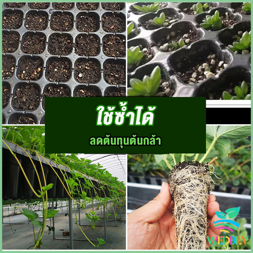 W.B.【มีสินค้าในสต๊อก】 ถาดเพาะต้นกล้า  ถาดเพาะชำ ถาดเพาะเมล็ด ใช้ซ้ำได้ Seedling Tray