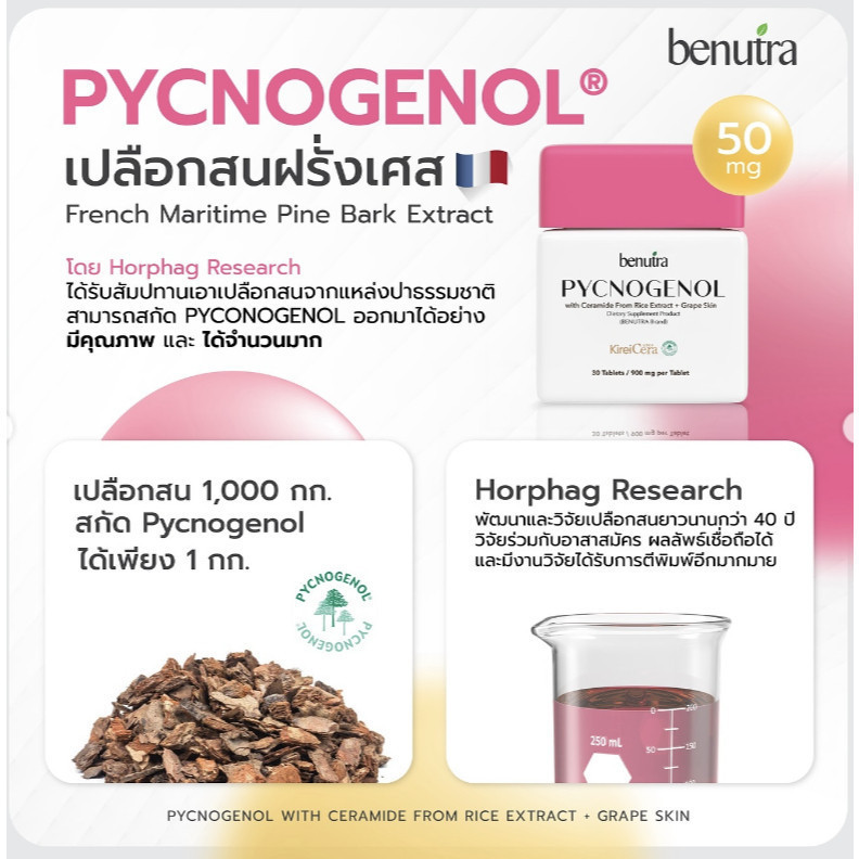 พิโนจินอล เม็ดเหลืองเลือนฝ้า PYCNOGENOL บีนูทร่า benutra ลดเลือนฝ้า กระ จุดด่างดำ 3 กระปุก - รูปที่ 4