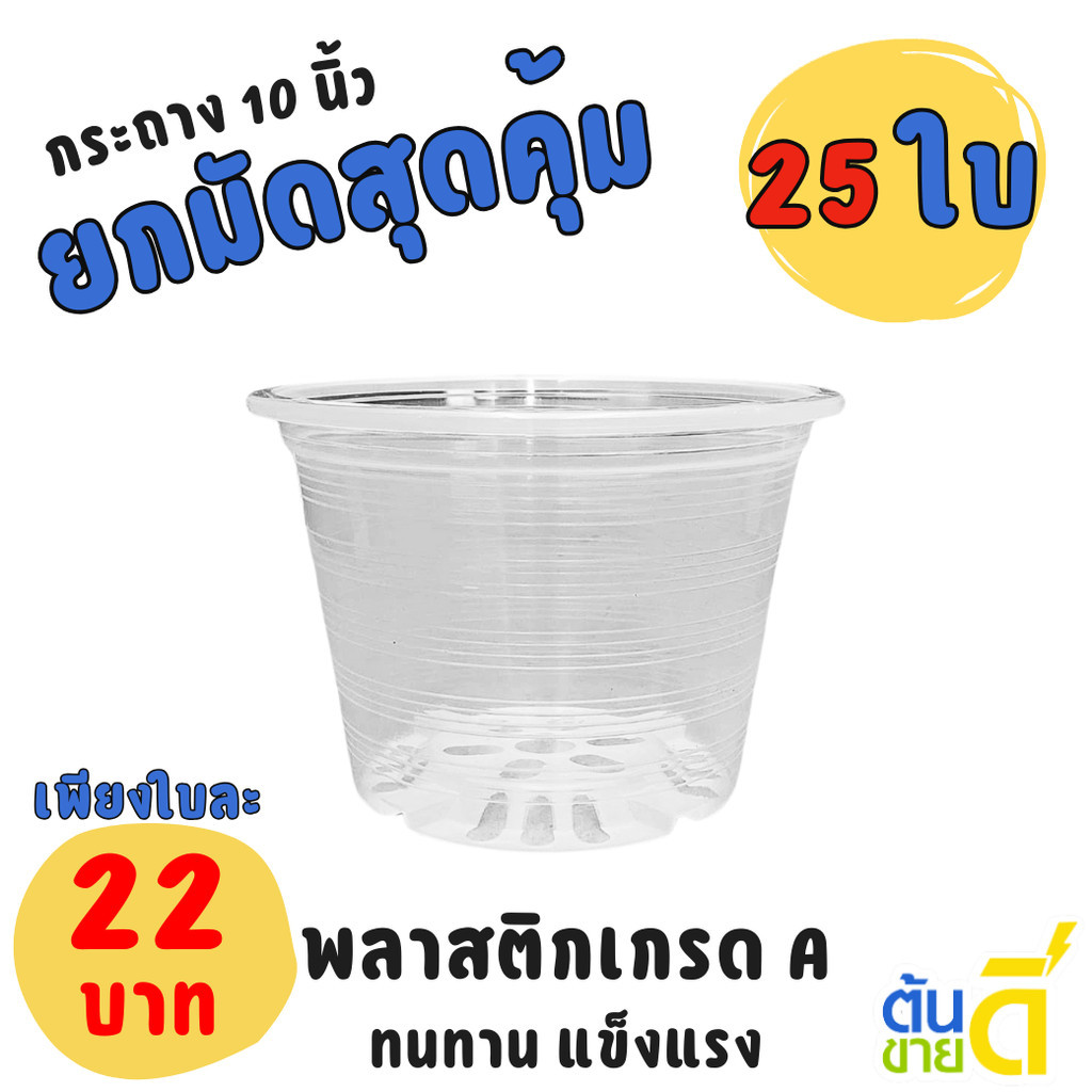 กระถาง กระถางต้นไม้ กระถางใส เบอร์ 10 11 นิ้ว