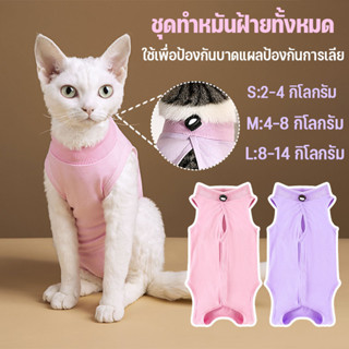 ชุดหลังผ่าตัดแมว เสื้อแมว ชุดสัตว์เลี้ยง ทำหมันแมวหมาลายน่าร…