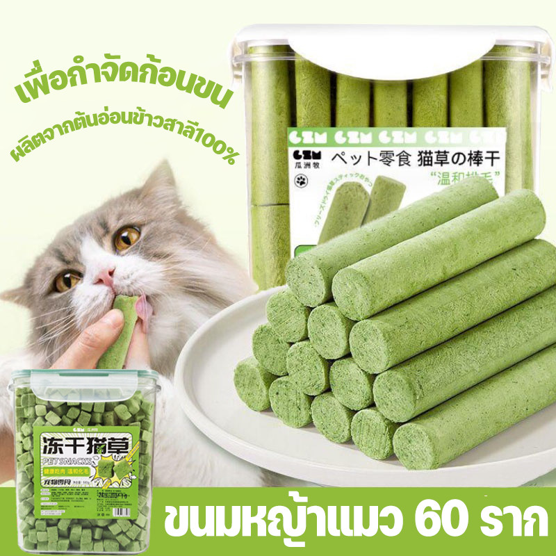 พร้อมส่ง😻ขนมหญ้าแมว 60 ราก ช่วยขัดฟัน ผลิตจากต้นอ่อนข้าวสาลี100%  เพื่อกำจัดก้อนขน บรรจุในถังปิดผนึก