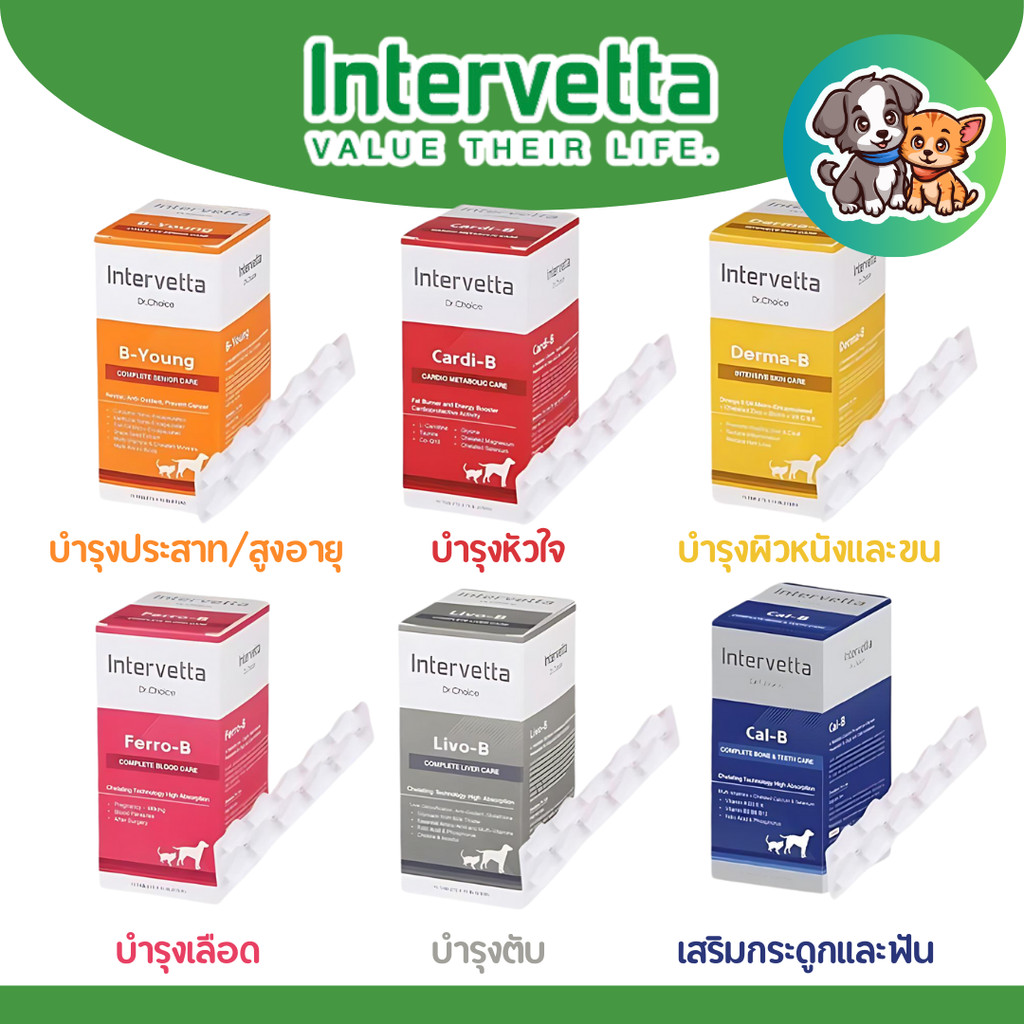 [แผงแบ่งขาย10เม็ด] Dr.Choice รวม! B-Young / Cardi-B / Derma-B / Ferro-B / Livo-B / Cal-B อาหารเสริมสำหรับสุนัขและแมว