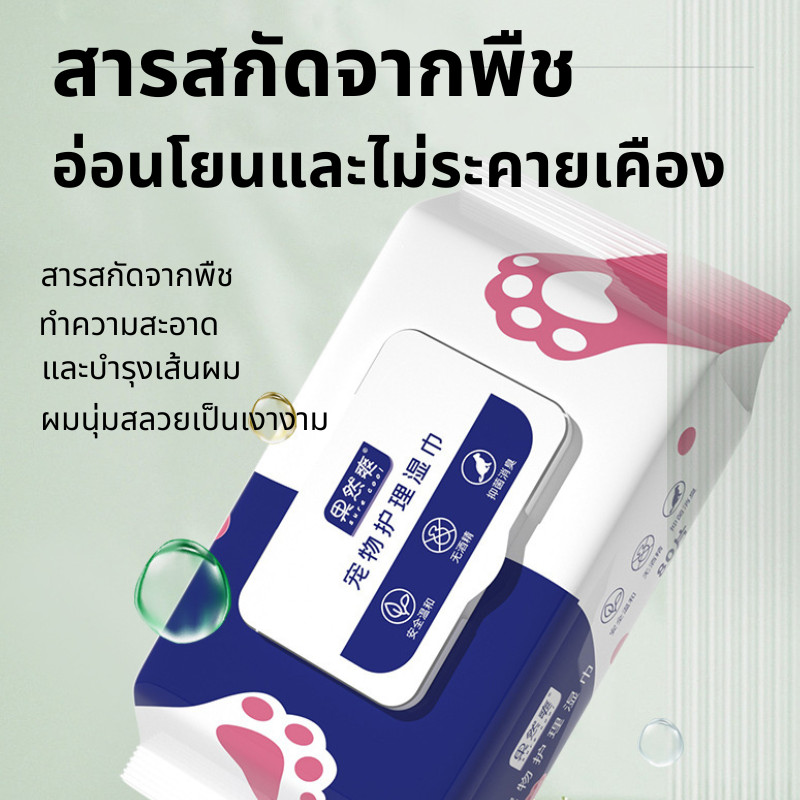 [พร้อมส่ง] ✨ทิชชู่เปียก 80 แผ่น แผ่นเช็ดแมว ทิชชู่หมา Pet wipes สัตว์เลี้ยง สำหรับเช็ดสัตว์เลี้ยง ปราศจากแอลกอฮอล์ - รูปที่ 7