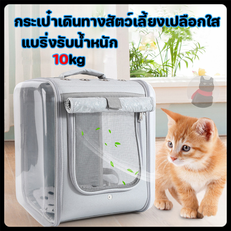 กระเป๋าเเมว เป้แมว กระเป๋าเป้สัตว์เลี้ยง Pet carrier พับเก็บได้ ระบายอากาศได้