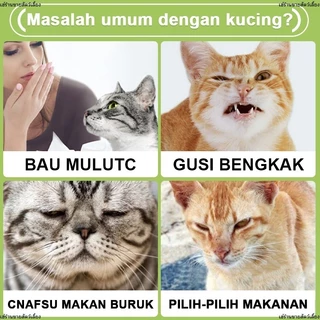 😸ขนมสำหรับสัตว์เลี้ยง 60 กรัม บิสกิตสำหรับแมว ขนมแมวแบบโภชนาการ บิสกิตแบบฟันทำลาย