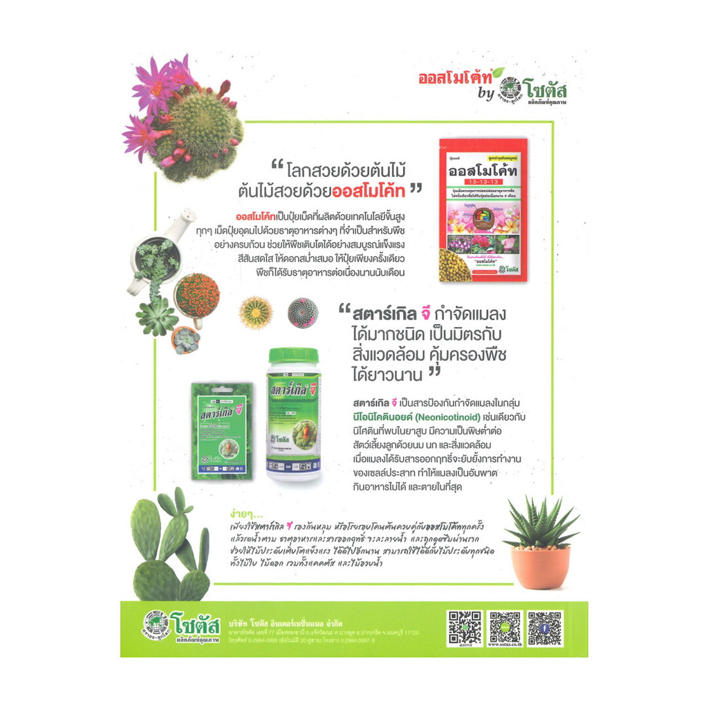 รูปภาพ 2