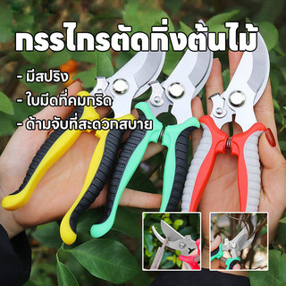 กรรไกรตัดกิ่งไม้ กรรไกรแต่งกิ่งปากโค้ง กรรไกรทำสวน มีหลายสีให้เลือก กรรไกรตัดกิ่ง แบบสเตนเลส