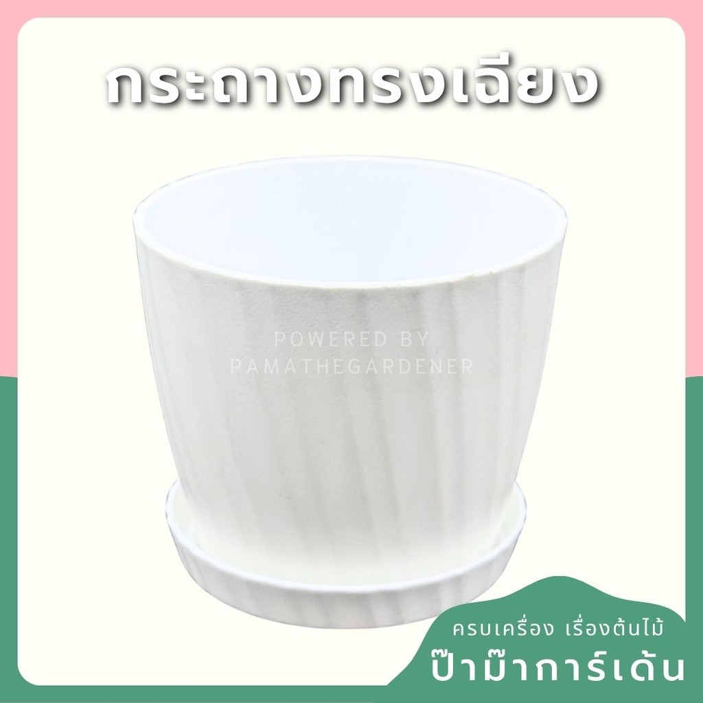 กระถางพลาสติกสีขาว ทรงลายเฉียง 4-8 นิ้ว