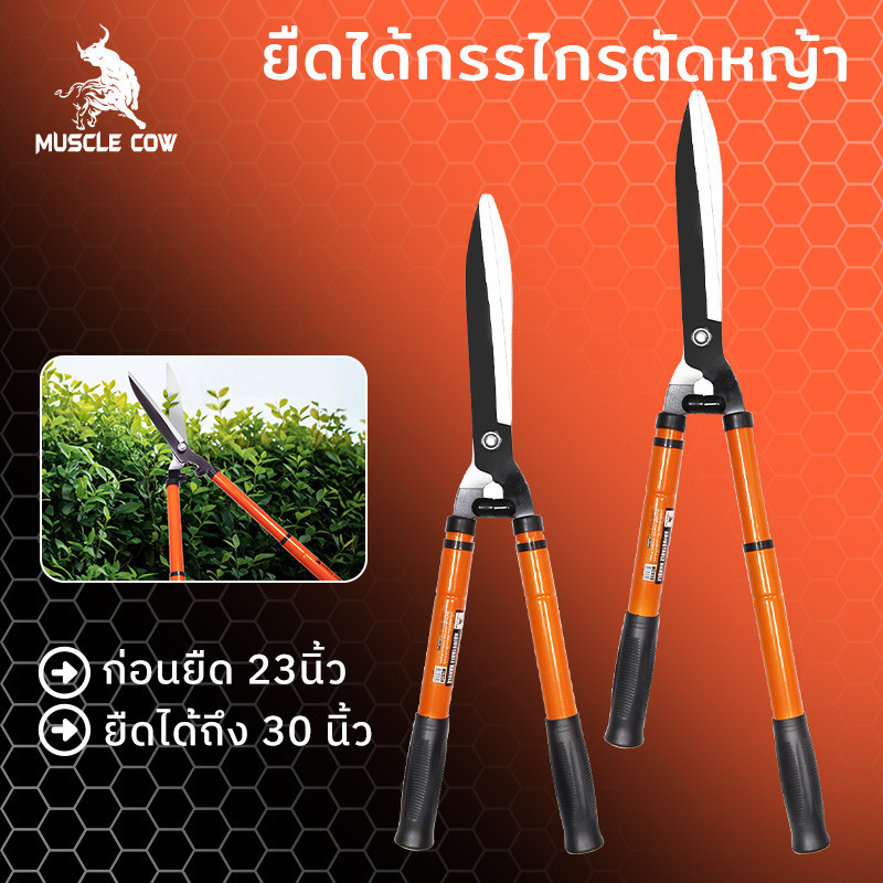 MUSCLE COW กรรไกรตัดหญ้า สามารถยืดได้หดได้ ด้ามเหล็กหุ้มพลาสติก เหมาะสำหรับตัดกิ