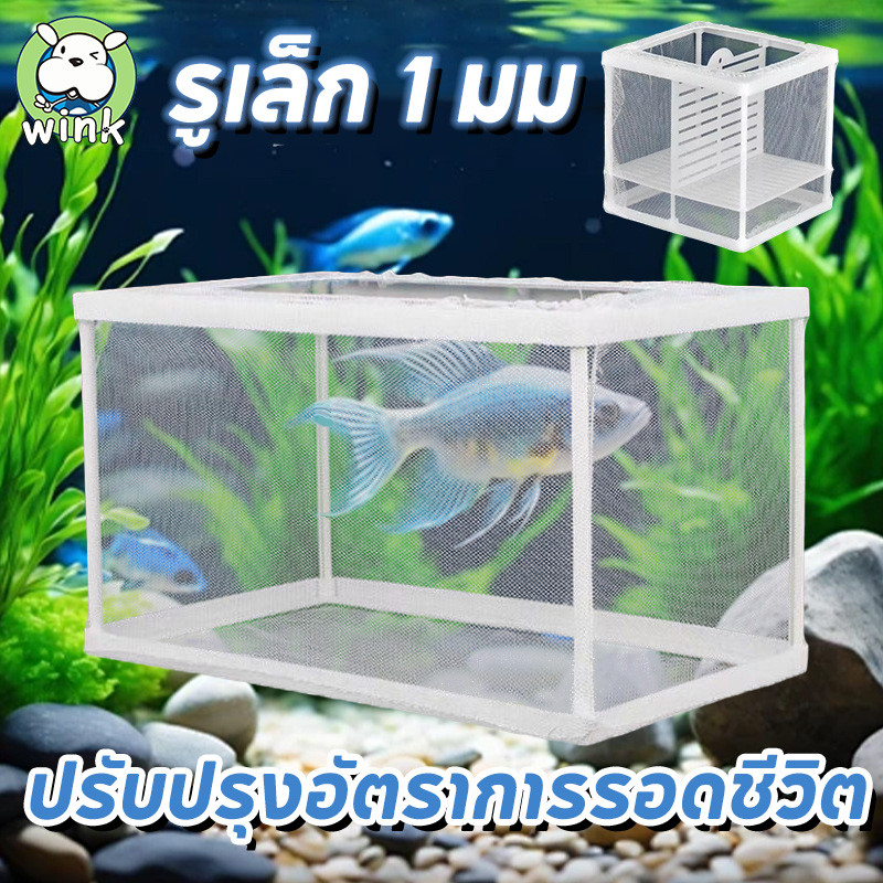 COD กล่องตาข่ายแยกปลาลูกปลา สำหรับเพาะพันธุ์ตู้ปลา แยกฟักไข่ ทนทานใช้งานได้ดี
