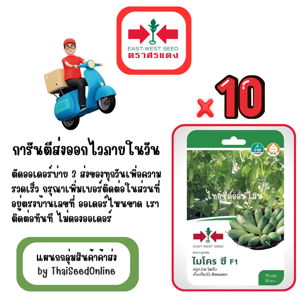 GG x 10 เมล็ดผักซองศรแดง ไมโครซี แตงกวา สินค้ายกแพ็ค