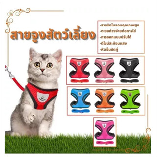 ชุดสายจูงและสายรัดอกสุนัขแบบตาข่ายปรับขนาดได้ สำหรับสุนัขและ…