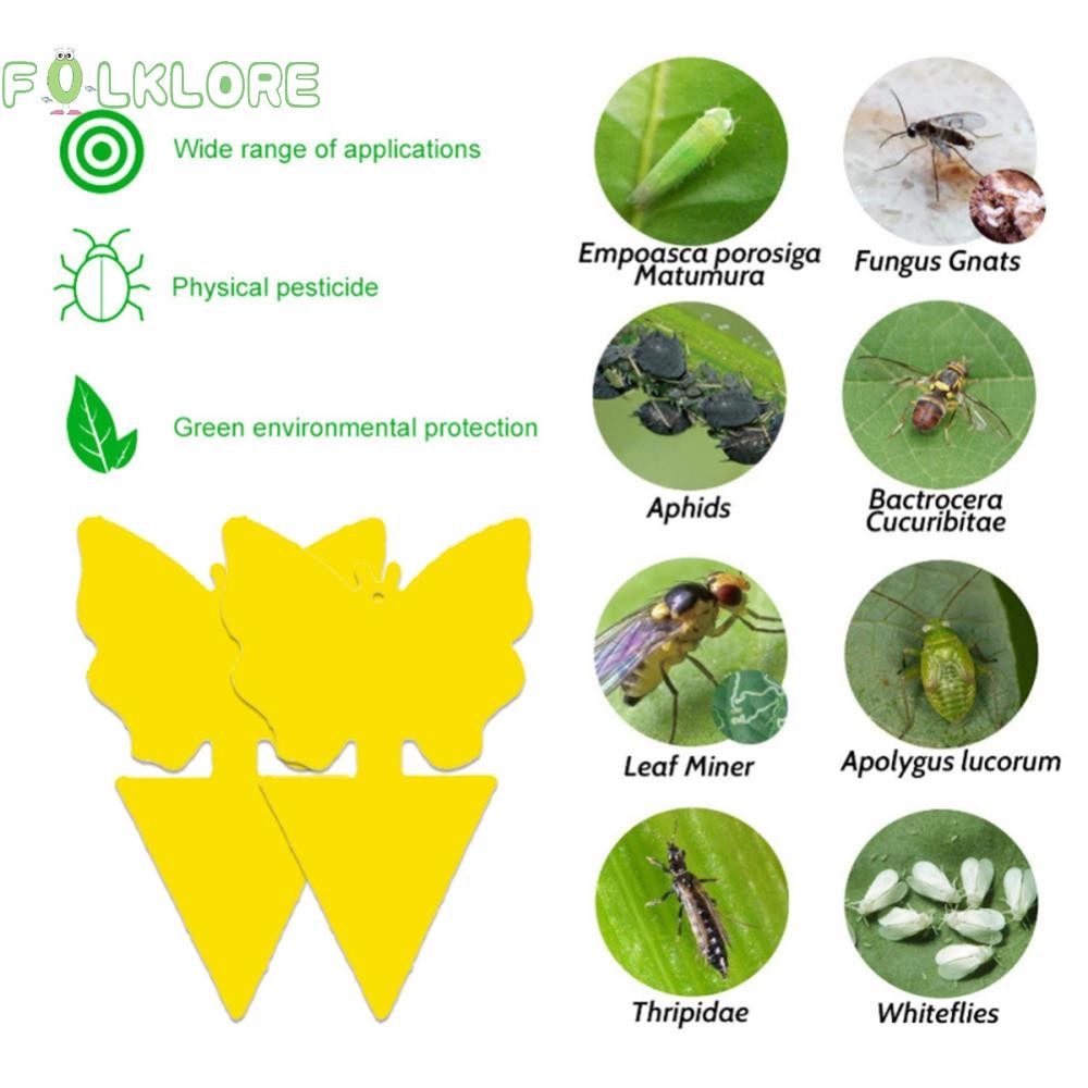 Folklore 10-24PCS Double Sided Sticky Traps ผลไม้ Fly Trap Board พืช Pest Catcher หลายแมลงแมลงจับ Bugs สวนอุปกรณ์
