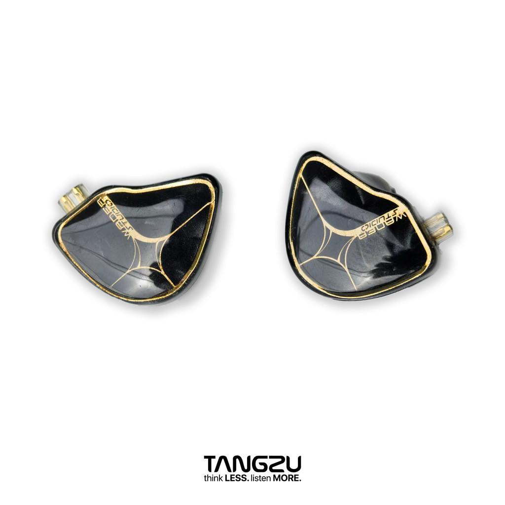 TANGZU Waner SG Studio Edition Hifi In-ear ใหม่ 10 มม. Dynamic N52 Dual Magnet และหูฟัง Dual Chamber