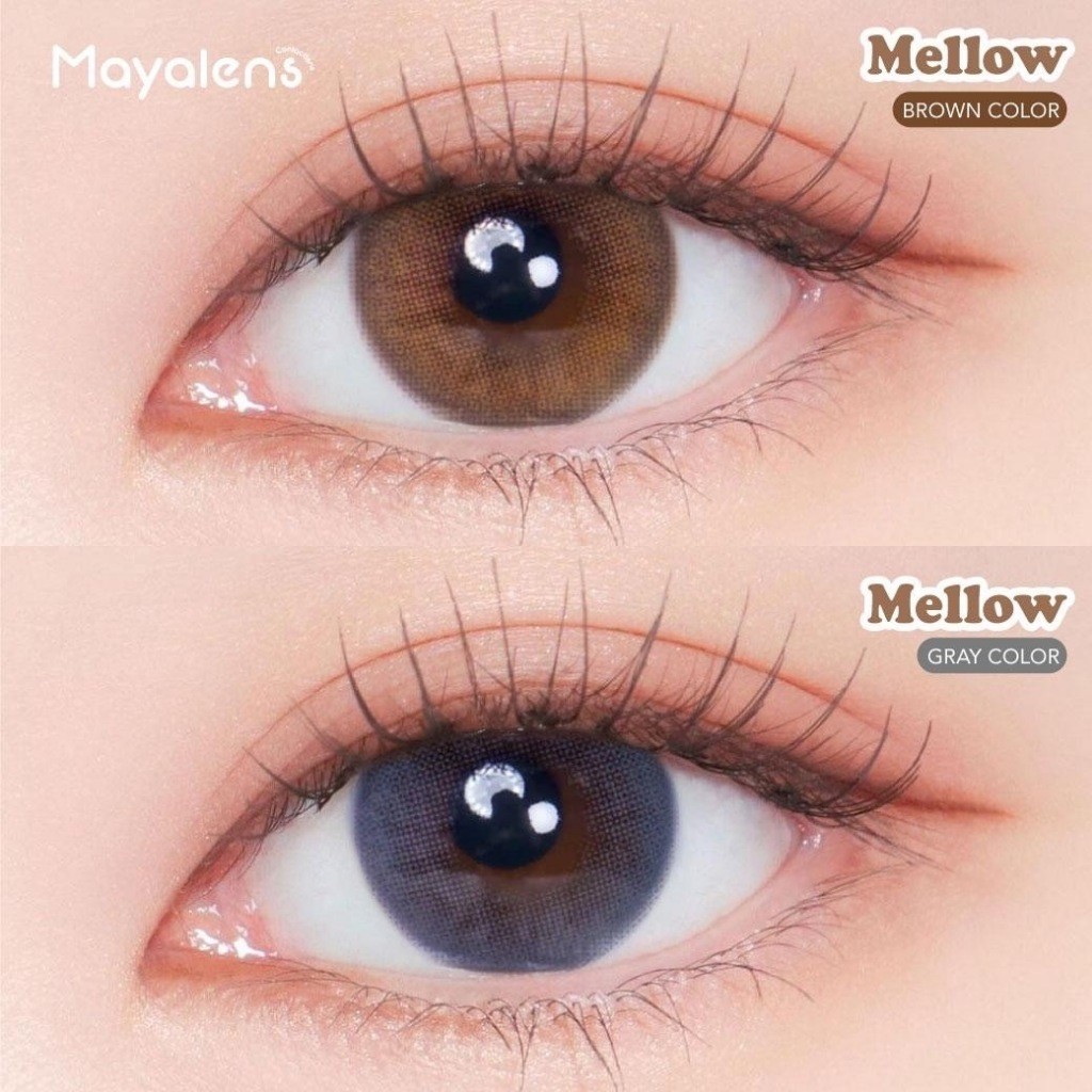 🔥คอนแทคเลนส์ 💗ขนาดกลาง💗Mellow (Mayalens Premium) Silicone Hydrogel ค่าอมน้ำ 60% - รูปที่ 3