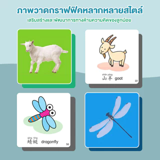 Ohayo แผ่นการ์ดคำศัพท์ระบายสี การ์ดให้ความรู้ดูเดิล แฟลชการ์ดสี แฟลชการ์ดเด็ก สองด้าน การ์ดเสริมพัฒนาการ สำหรับ อายุ