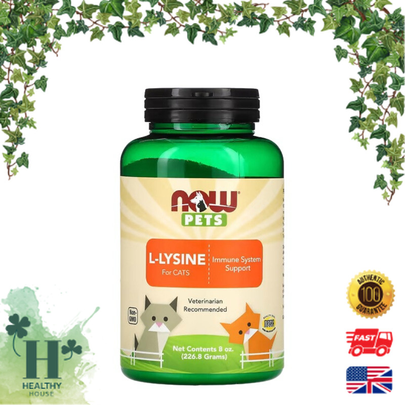 พร้อมส่ง NOW Foods Now Pets L-Lysine for Cats 226.8g Lysine cat ไลซีนแมว ช่วยเสริมสร้างภูมิต้านทาน