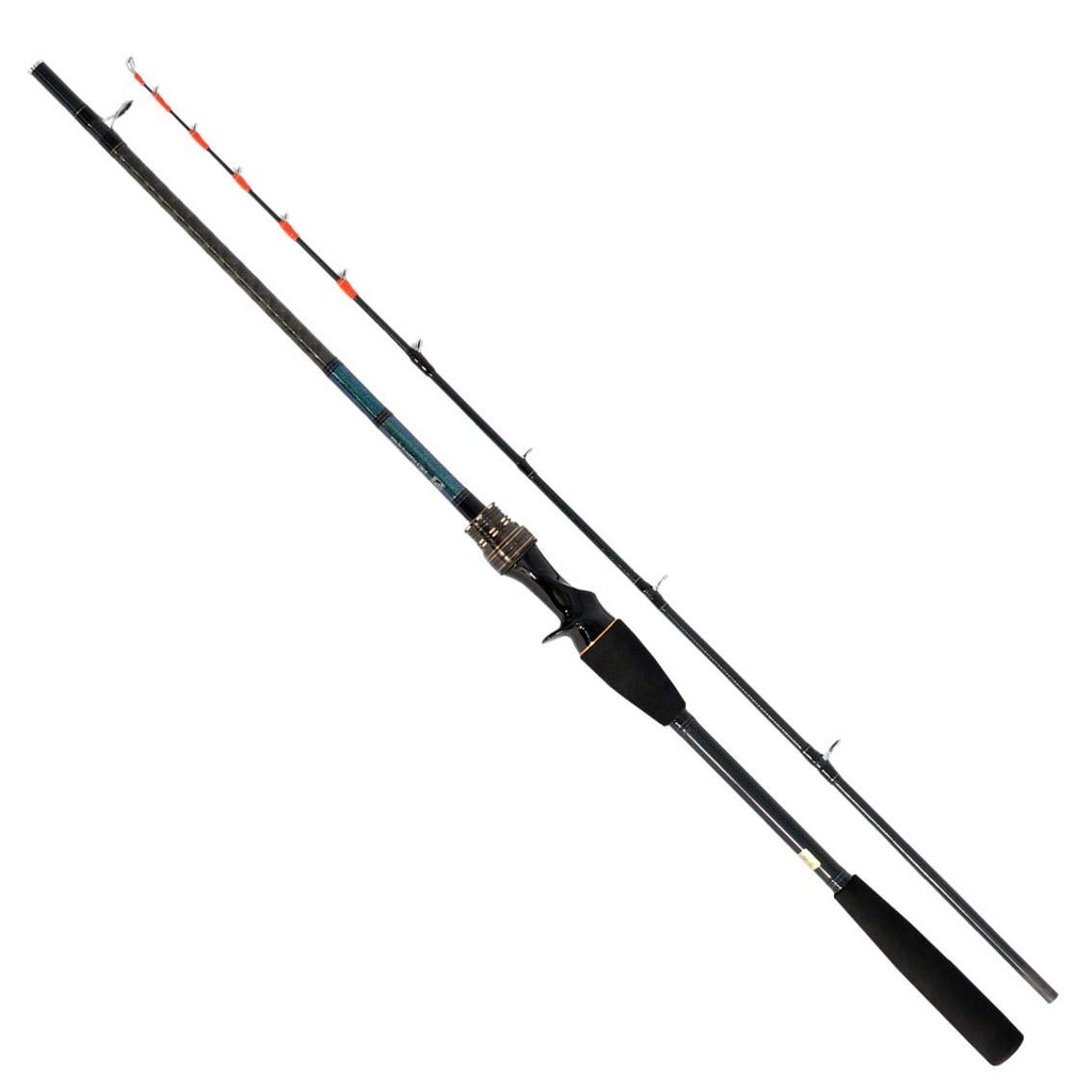 DAIWA Tenya Tachiuo X 180 R Fishing Rod