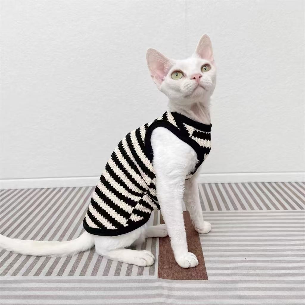 Sphinx hairless cat Devon เสื้อผ้า retro เสื้อกันหนาวยืดเสื้อยืดแขนกุดกางเกงขาสั้นฤดูใบไม้ผลิฤดูใบไม
