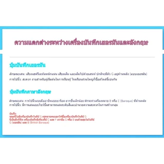 ขลุ่ยรีคอร์เดอร์ Recorder น้ำหนักเบา พกพาสะดวก ใช้งานได้ยาวนาน YRS-23/24