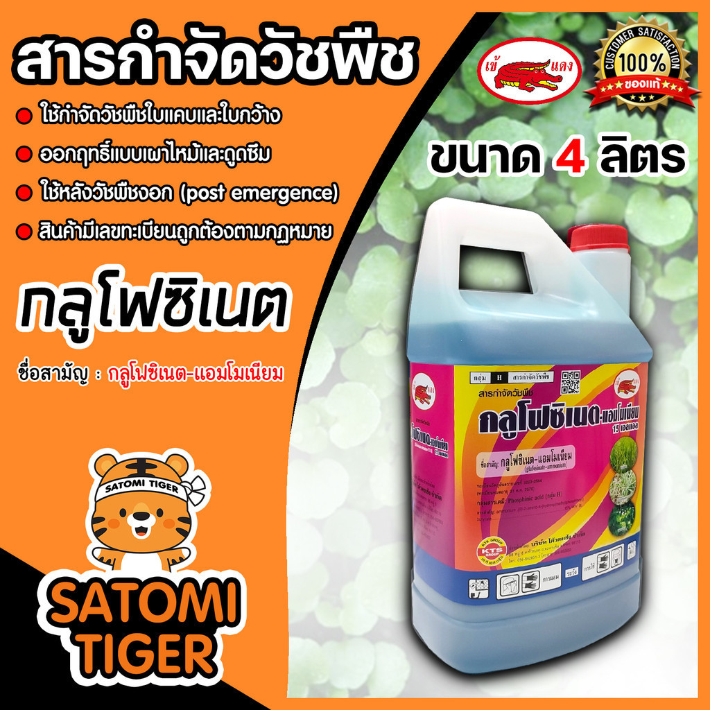 เข้แดง กลูโฟซิเนต-แอมโมเนียม 15 เอสแอล 4ลิตร (เนื้อเทค) ฝาแดง กำจัดวัชพืชปราบยากและวัชพืชดื้อยาทุกชนิด