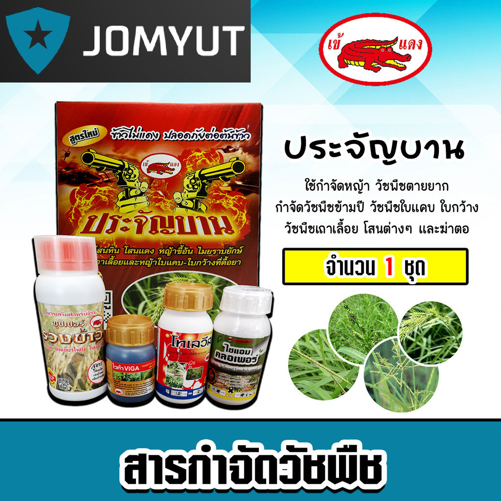 ชุดประจัญบานเข้แดง สูตรใหม่ ชุดกำจัดหญ้าในนาข้าวเห็นผลดี สารกำจัดวัชพืช กำจัดหญ้าข้าวนกสีชมพู หญ้าแดง ผักปอดนา กกต่างๆ