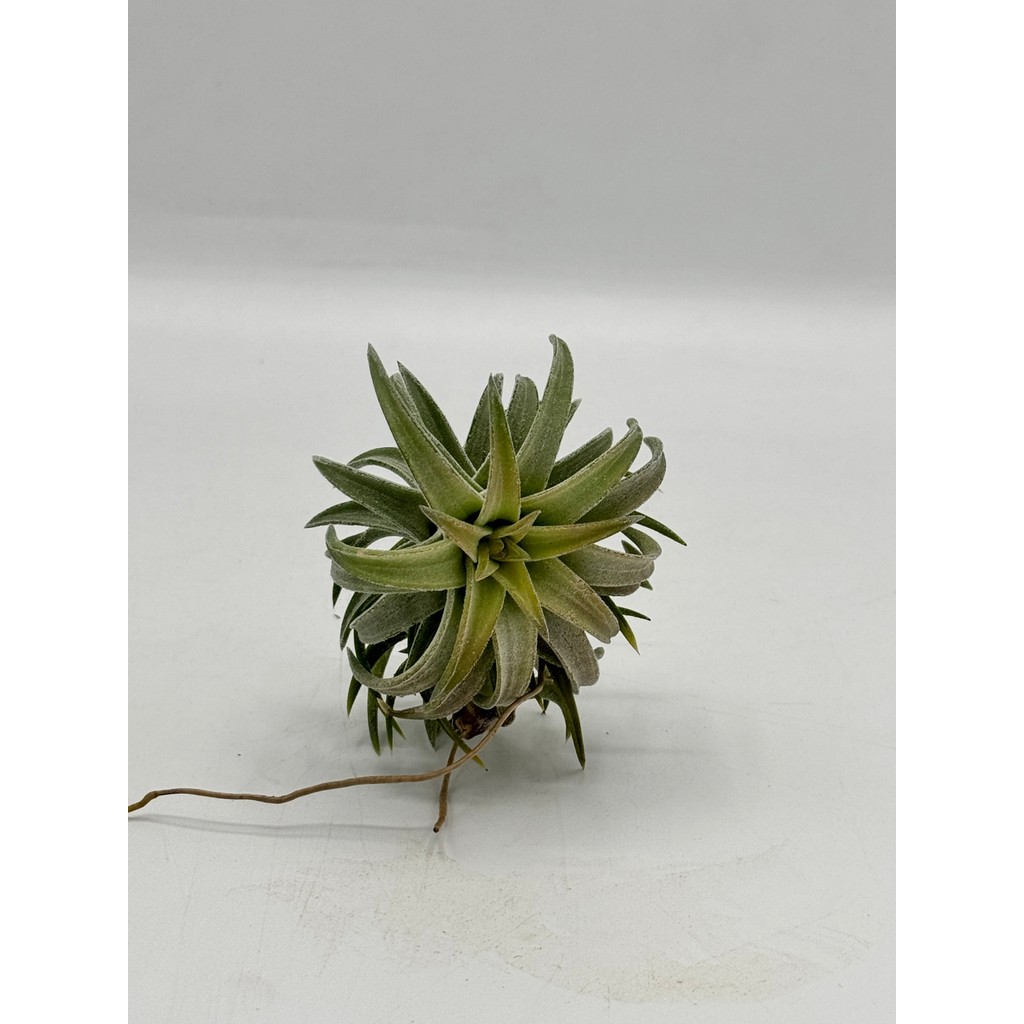 มุมมอง 2