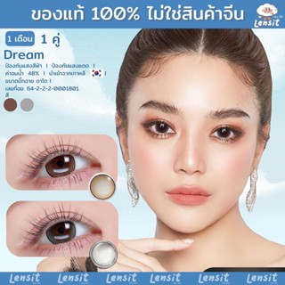 คอนแทคเลนส์[บิ๊กอาย] Dream Chestnut / Gray (Wink) ☁️ มี อย.ไ…