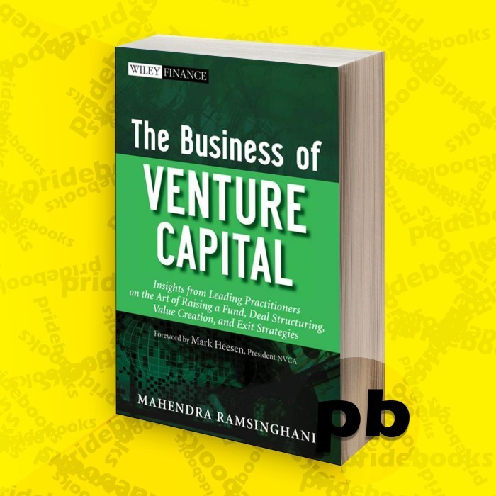 Business of Capital Criticism (English book)