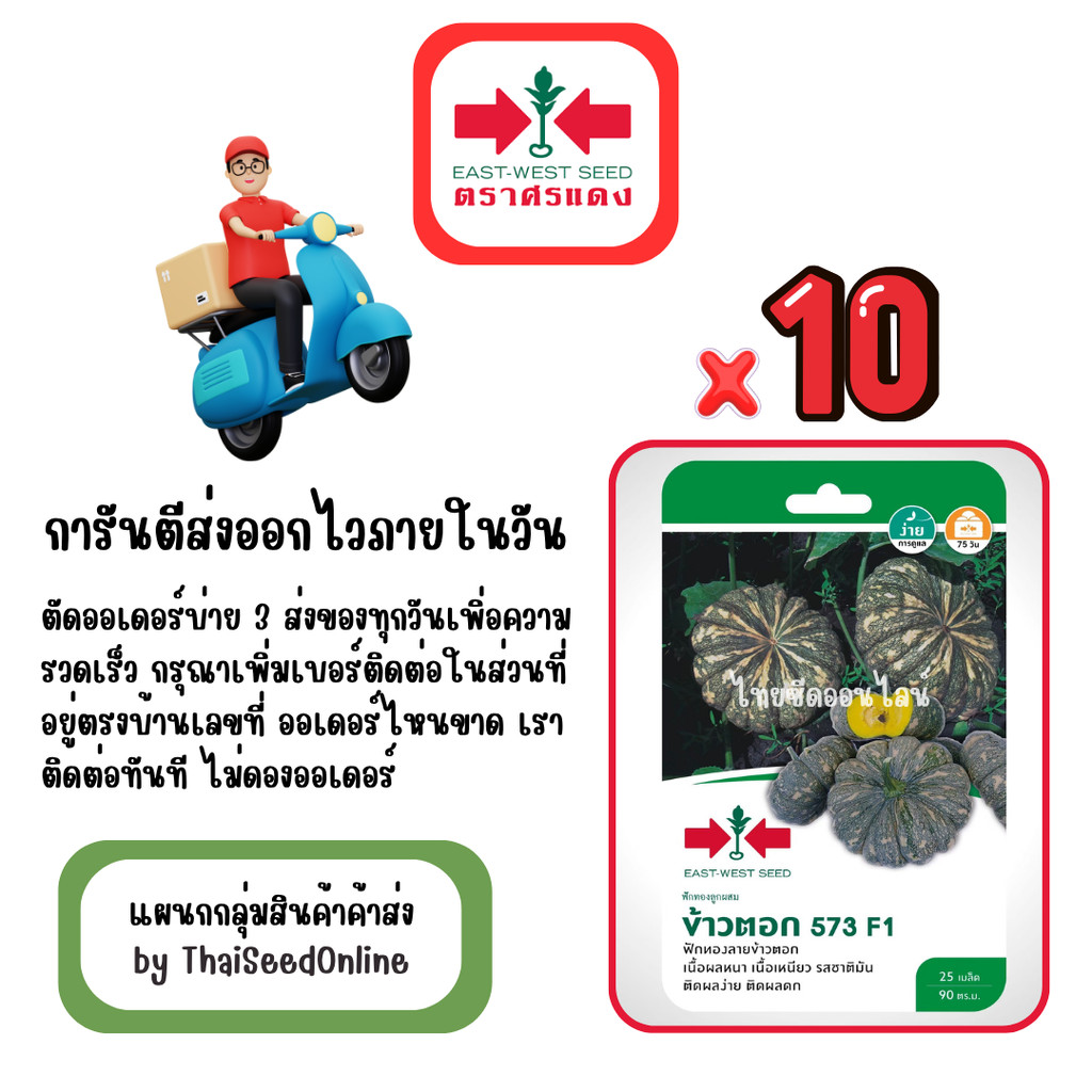 GG x 10 เมล็ดผักซองศรแดง ฟักทองลายข้าวตอก 573 สินค้ายกแพ็ค