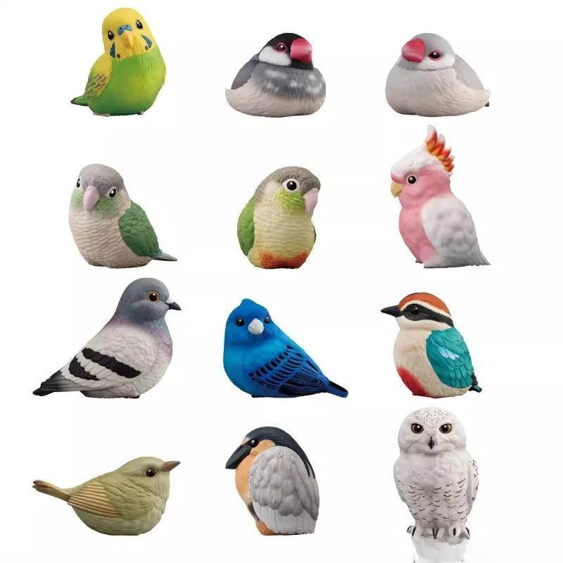 Paw Little Moe Friend Bird Flocking Furry Set ของเล่นอาหารสําหรับเด็ก Budgie Crested Parrot Spot