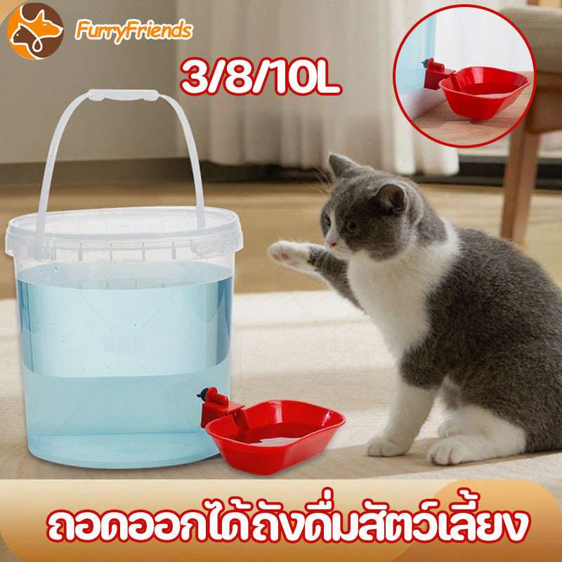 COD ถังดื่มสัตว์เลี้ยง ถังให้น้ำแมว 3/8/10L เครื่องจ่ายน้ําแมว  ปลั๊กฟรี ถอดออกได้ แบบใส ปลอดภัย