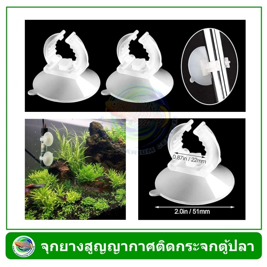 จุกยางหนีบไฟ ท่อ สายยาง ใช้ติดกับกระจกตู้ปลา Suction Cups with Clip for Fish Tank ราคาต่อชิ้น