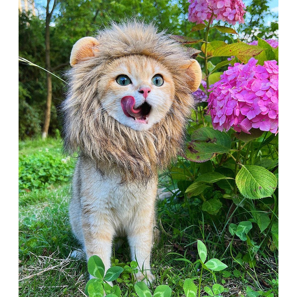 Lion Mane วิกผมสําหรับเครื่องแต่งกายแมวสัตว์เลี้ยงปรับล้างทําความสะอาดได้สบายแฟนซี Lion Hair Cat เสื้อผ้าชุดสําหรับฮาโลวีนคริสต์มาสอีสเตอร์เทศกาล Party กิจกรรม