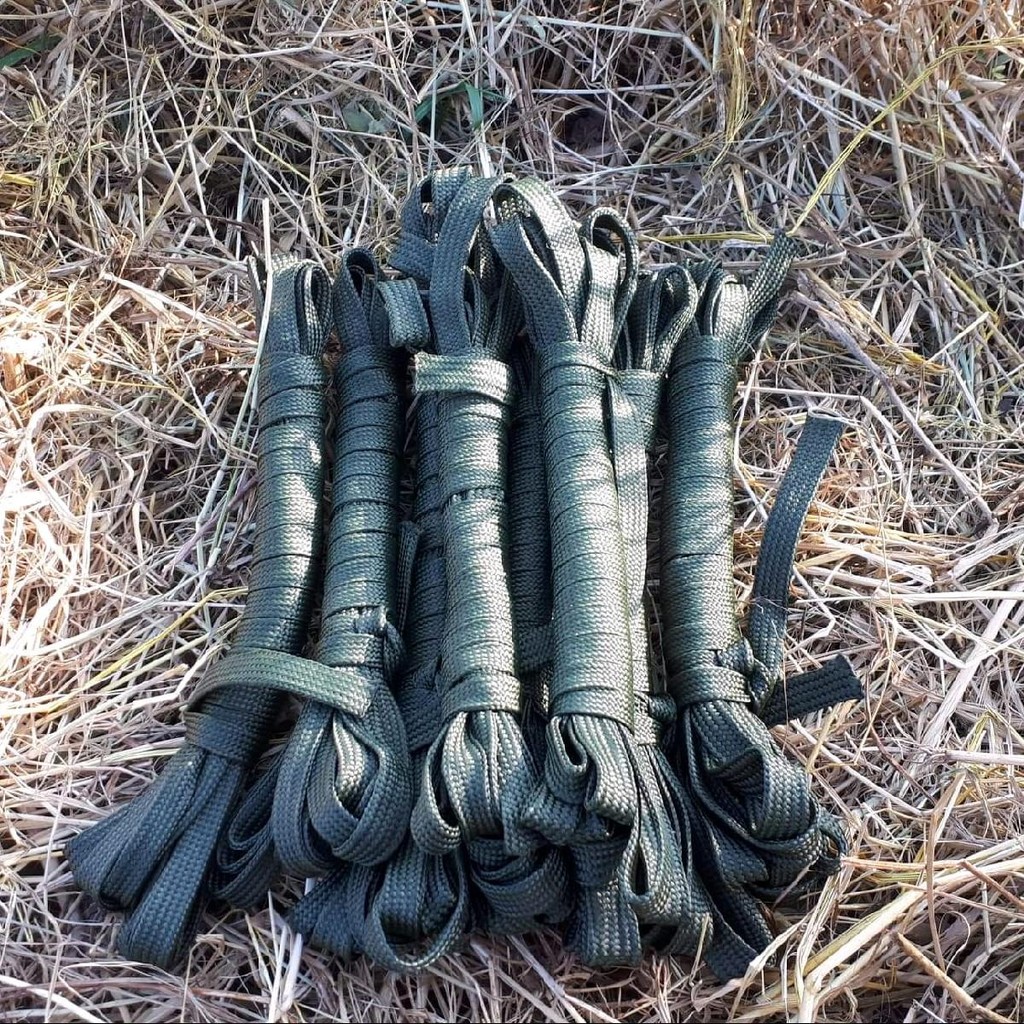 รูปภาพ 5