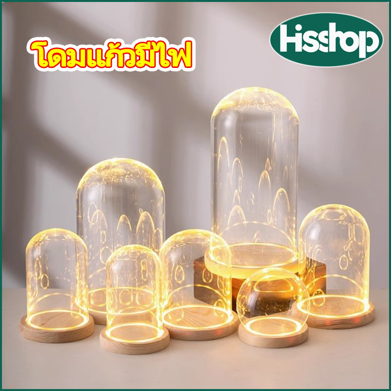 โดมแก้ ดอกไม้นิรันดร์ ฝาครอบแก้วต้นคริสต์มาสโมเดล ศิลปะ ของเล่น แก้วโดม มีไฟ โถแก้วpopmartขวดโหลแก้ว