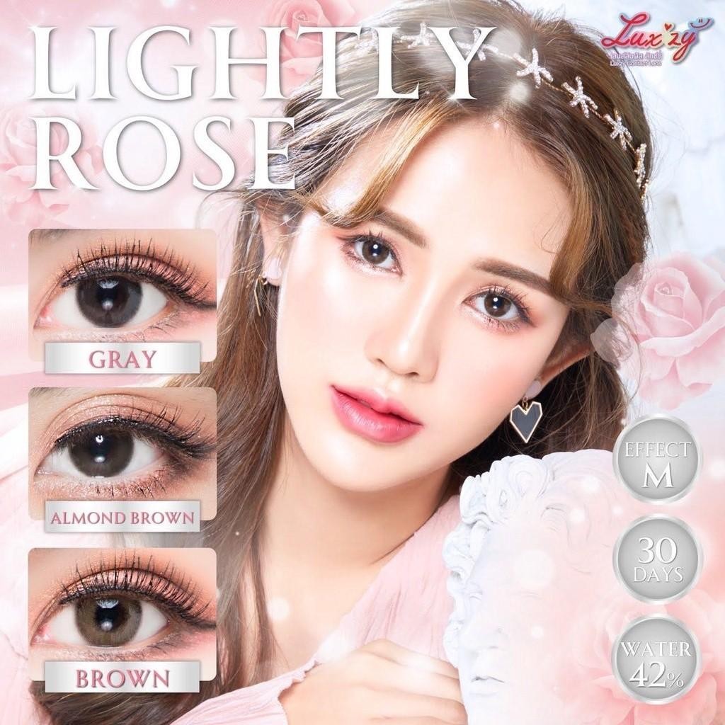 คอนแทคเลนส์[มินิ] Lightly Rose Almond Brown / Brown / Gray (Luxzylens) มี อย.ไทย