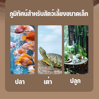 SKISOPGO ตู้ปลาทอง ตู้ปลาขนาดเล็ก โหลปลากัด โหลพลาสติก แข็งแรง ตกไม่แตก ถังประดับสํานักงาน