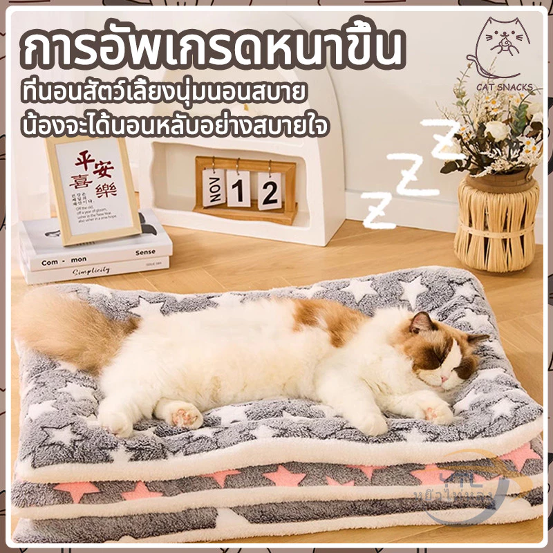YTL 🐈พรมนอนสัตว์เลี้ยง เบาะนอนสำหรับสัตว์เลี้ยง เบาะรองนั่ง ที่นอนสัตว์เลี้ยง ที่นอนสุนัข