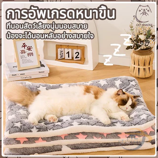 YTL 🐈พรมนอนสัตว์เลี้ยง เบาะนอนสำหรับสัตว์เลี้ยง เบาะรองนั่ง ที่นอนสัตว์เลี้ยง ที่นอนสุนัข