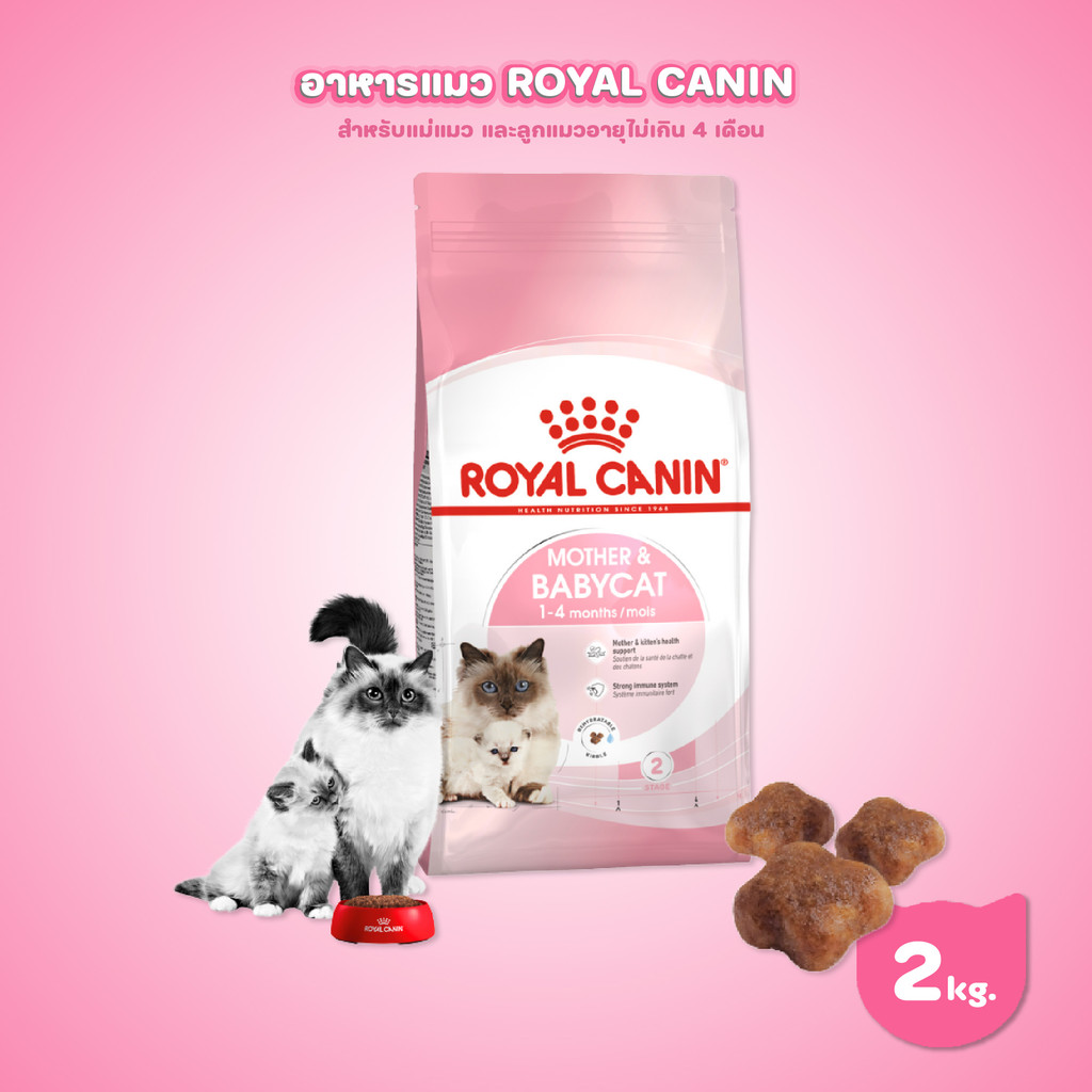 Royal Canin Starter Mother&Baby Cat 2kg อาหารแม่แมวตั้งท้อง-ให้นมและลูกแมวอายุต่ำกว่า 4 เดือน(Dry Cat Food, โรยัล คานิน)