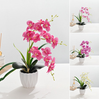 ดอกไม้ประดิษฐ์ ต้นไม้กระถางฟาแลนนอปซิส กระถางต้นไม้ขนาดเล็ก …