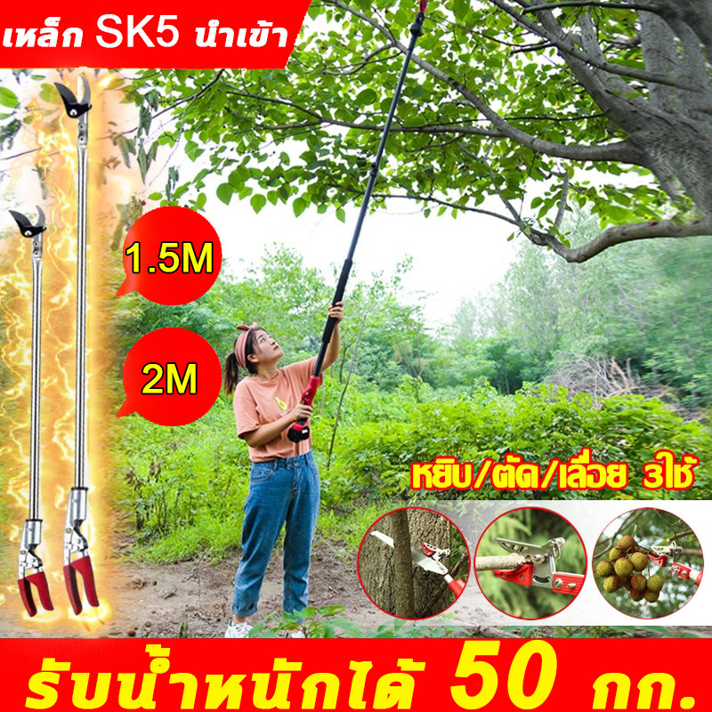 รับน้ำหนักได้50กก.นำเข้าจากญี่ปุ่น✂️กรรไกรตัดกิ่งด้ามยาว กรรไกรตัดกิ่งไม้ กรรไกรเก็บผลไม้ 1.5M-2M ตัด หนีบ เลื่อยได้3in1