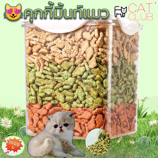 พร้อมส่ง🔥1000g คุกกี้มิ้นท์แมว ขนมแมว หญ้าแมวฟรีซดราย ขนมสัตว์เลี้ยง ย่อยง่ายและดูดซึม ช่วยสำรอกก้อนขน