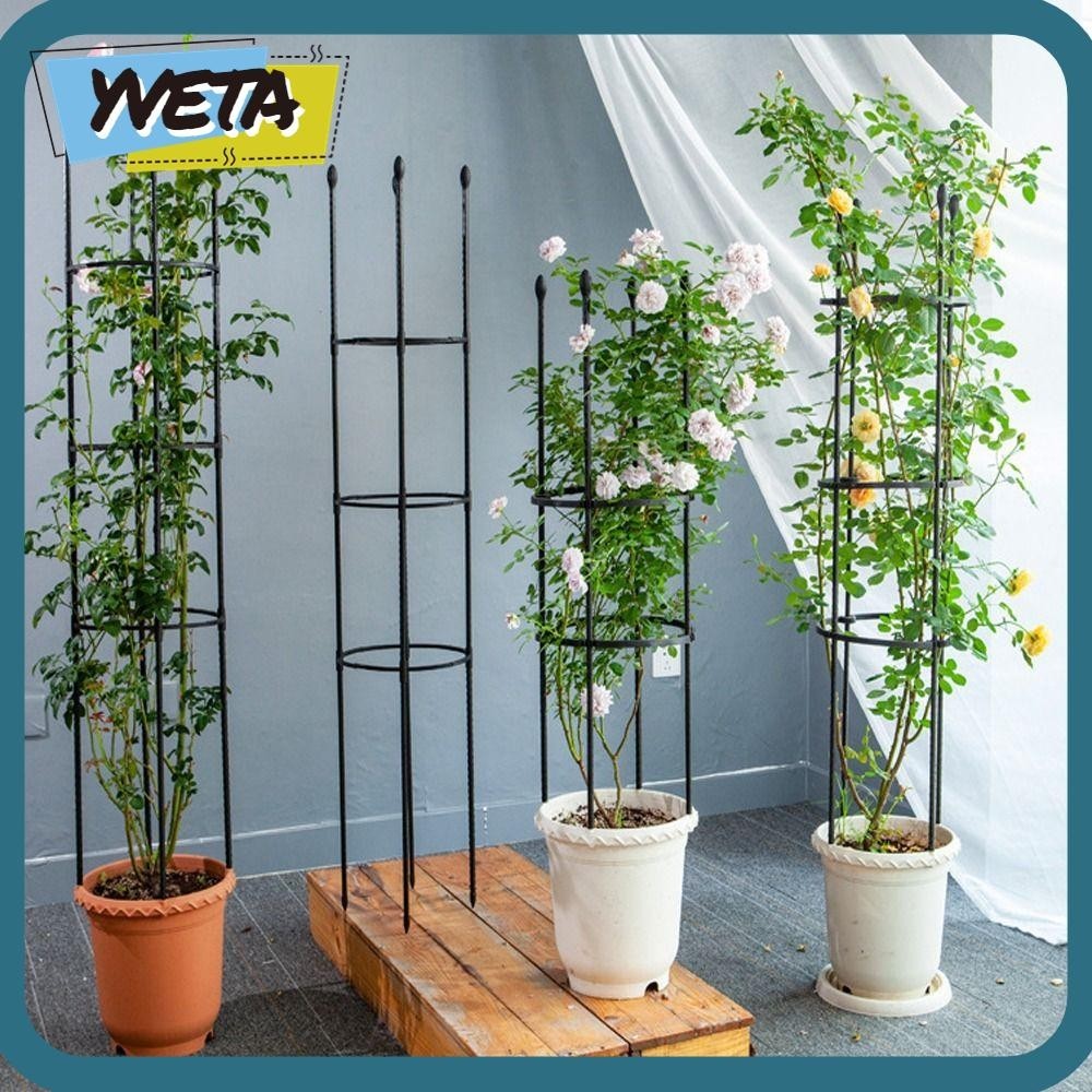 Yveta Plant Support Trellis, Stackable Plastic Garden Trellis, Home Garden Climbing Plants Infinitely Spliceable Potted Plants กันสนิม Trellis กลางแจ้ง